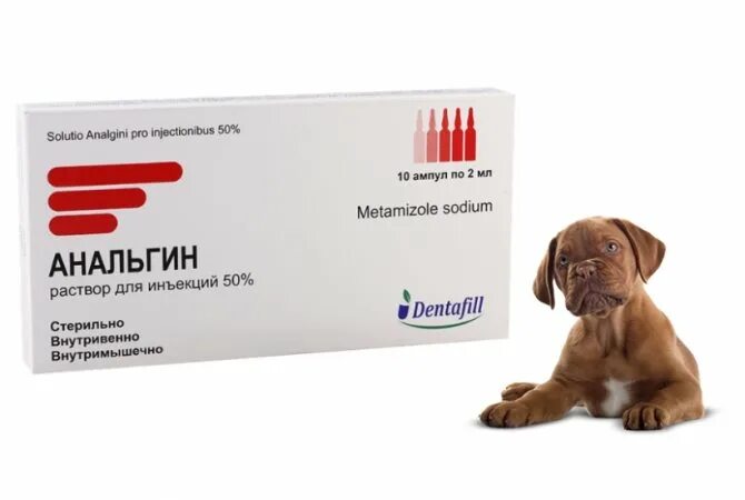 Можно собаке давать обезболивающие таблетки