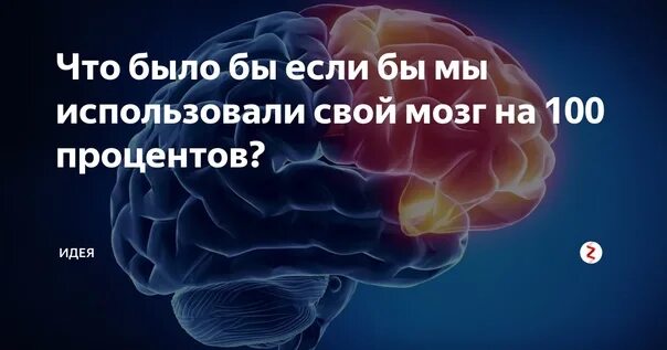 10 процентов мозга. Мозг на 100 процентов. Использование мозга на 100 процентов. Процент использования мозга. Мозг человека используется на процентов.