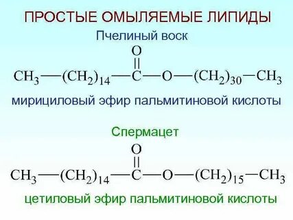 Метанол и стеариновая кислота