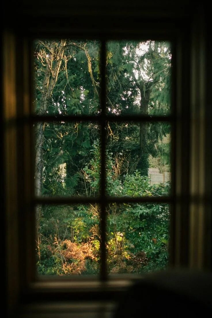 Below the window