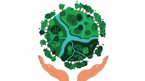 We must protect our environment
