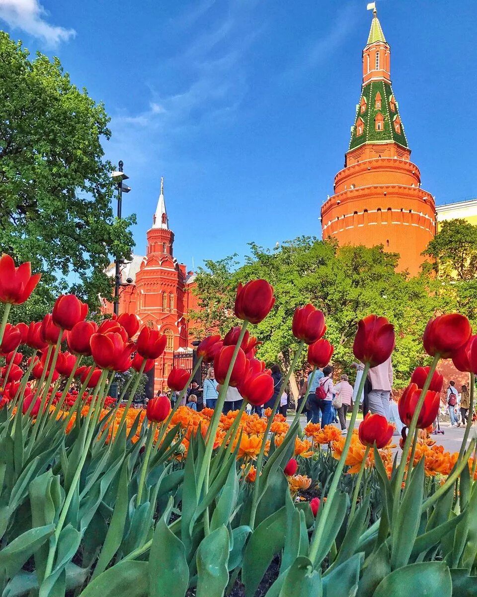 Цветущая москва. Где погулять в москве на майские 2024. Куда сходить в москве летом. Где погулять в москве на майские 2024. Москва весной.
