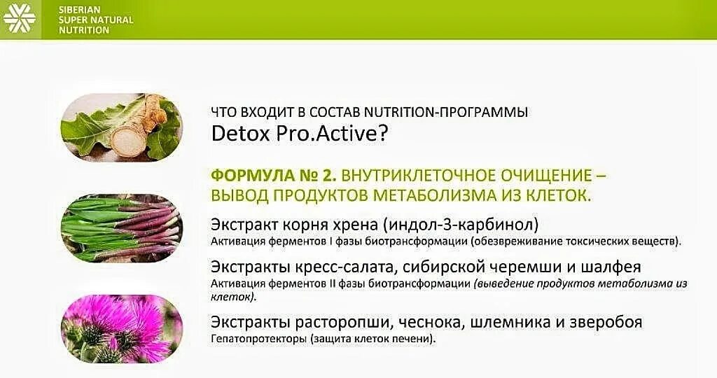 Актив сибирское здоровье. Detox Pro Active Сибирское. Detox Pro Active Сибирское здоровье. Комплекс Detox Pro. Active :. Detox Pro.Active Siberian Wellness.