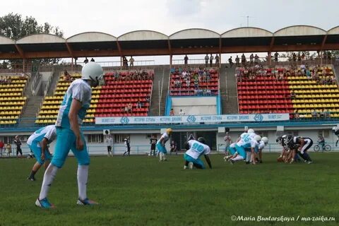 Директор стадиона динамо