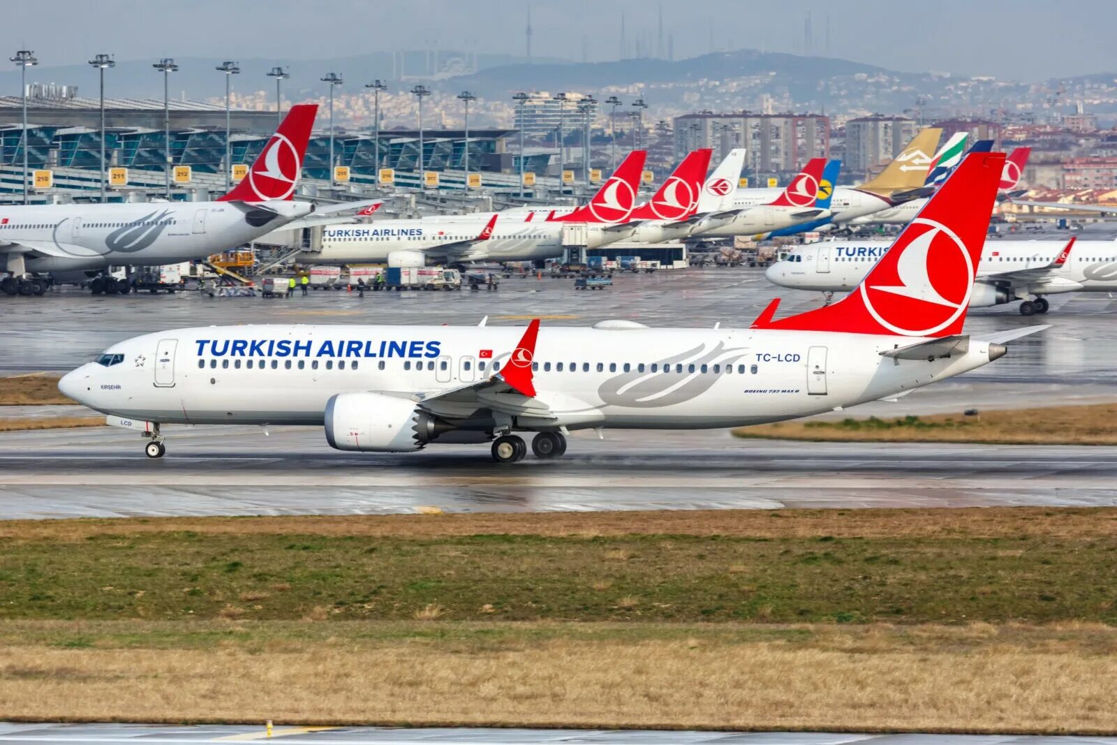 Turkish Airlines авиакомпании Турции. Самолет Туркиш Аирлинес. В Турцию на Turkish Airlines. Самолеты авиакомпании Туркиш Эйрлайнс. Авиарейсы в турцию