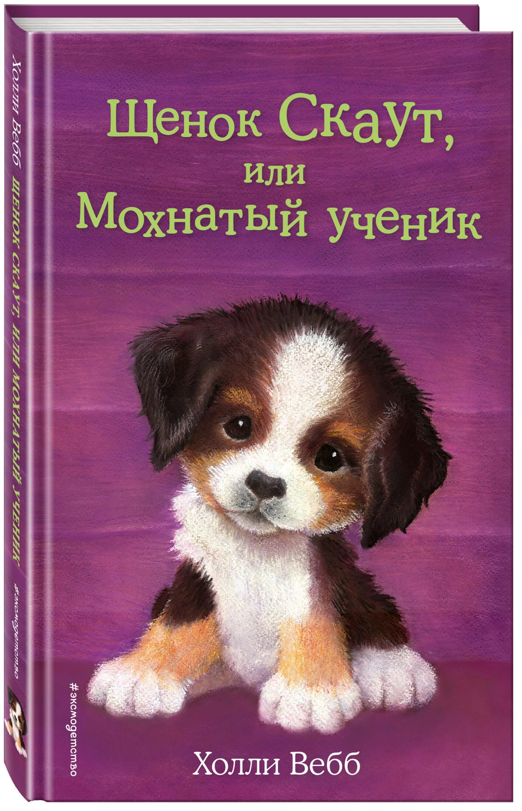Книга щенок. Холли вебб щенок. холли вебб щенок скаут или мохнатый ученик. щенок скаут или мохнатый ученик. холли вебб книги.
