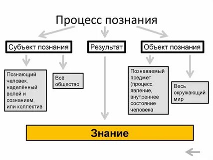 Знания полученные в процессе познания