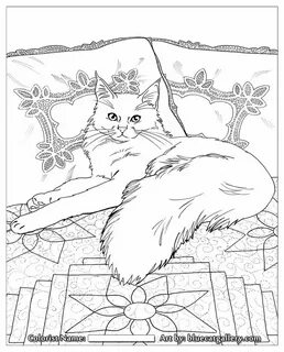 Год кота раскраски