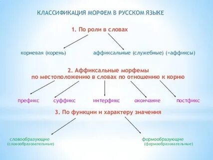 Виды морфем в русском языке