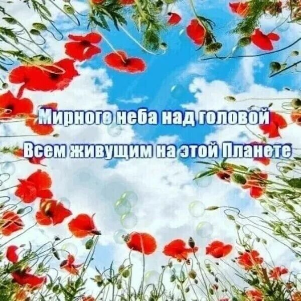 Доброго мирного неба картинки. Мирное небо. доброго дня и мирного неба над головой. доброго дня и м рного неба. пожелания мирного неба.