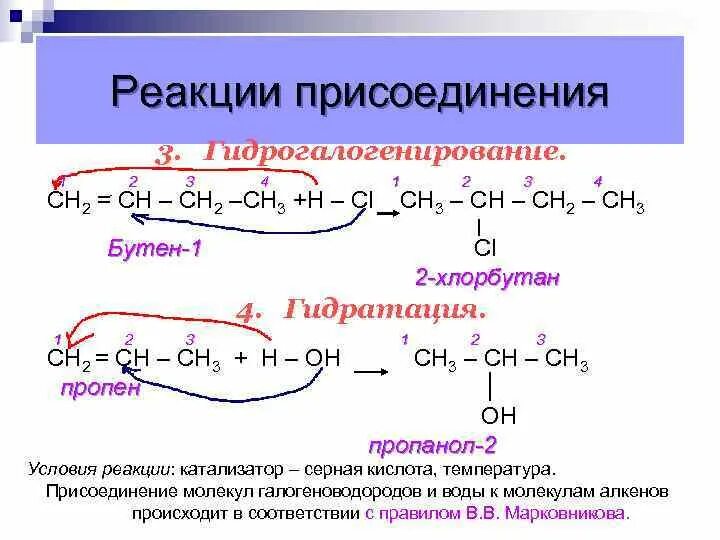 Реакция гидрогалогенирования бутена 2. Гидрогалогенирование бутена 1 механизм реакции. Бутин 2 гидрогалогенирование. Бутен 1 реакция присоединения.