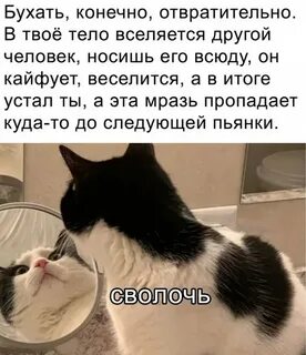 Конечно она хорошая