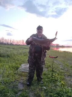 Погода пекилянка