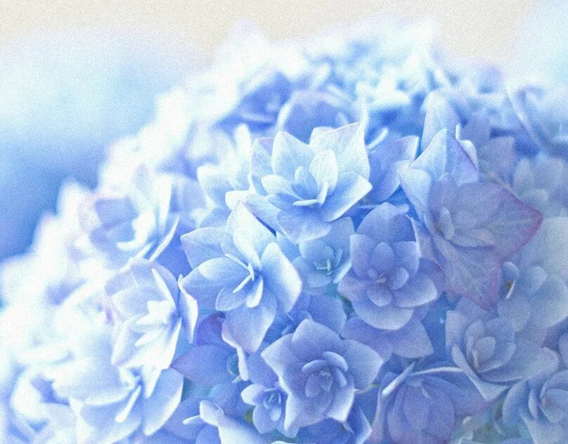 Let s blue