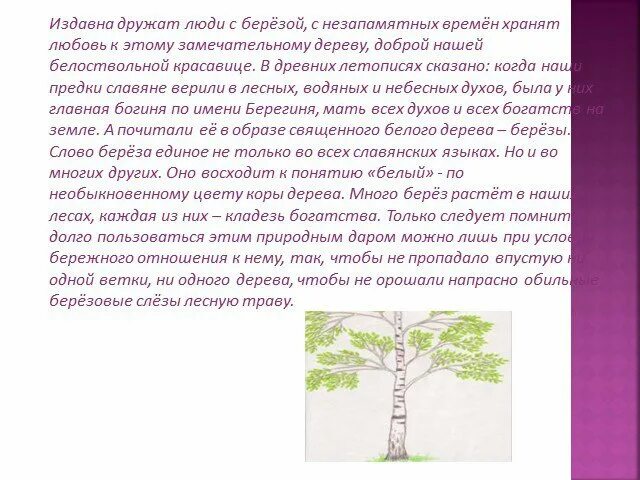 Некоторых животных люди издавна. Л. сонин издавна дружат люди с березой. издавна люди дружат с берёзой доброй нашей белоствольной красавицей. береза символ родины моей.