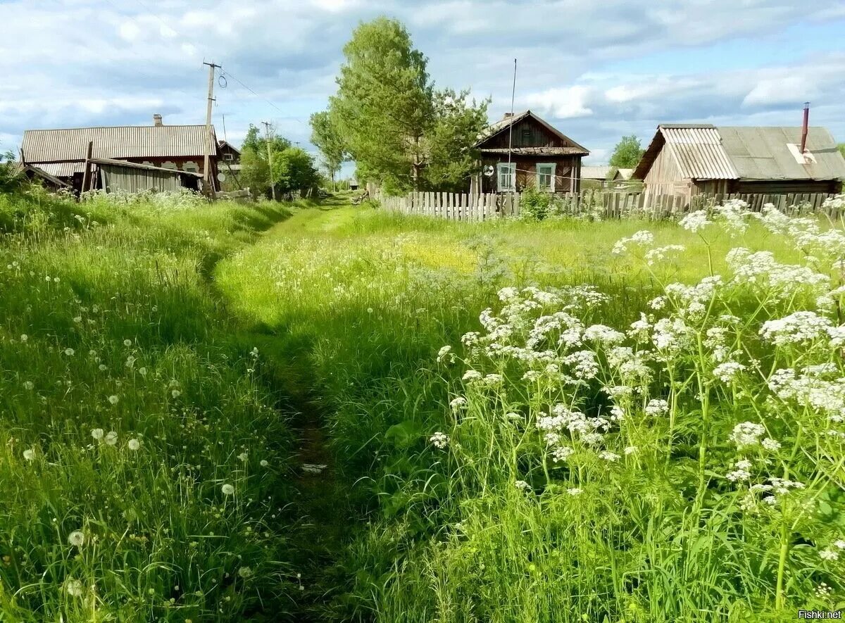 Деревня Яголуд. Природа деревня. Деревенский пейзаж. Лето в деревне. Прохладное лето в россии