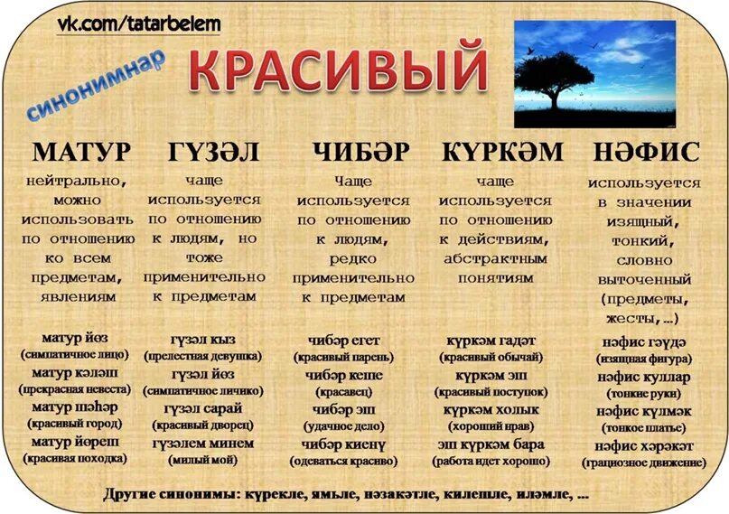 Синонимы на татарском. Синонимнар. Бай сүзенең синонимы. Синонимнар сүзлеге татарча 3 клас с. Синонимнар татарча правила.