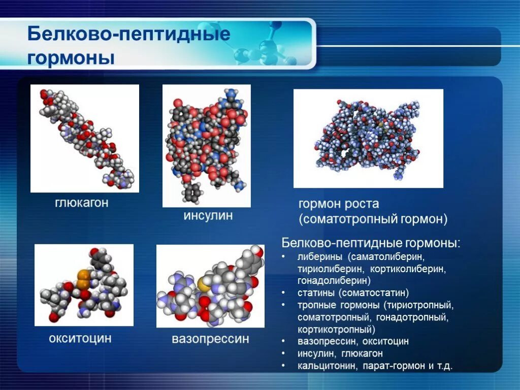 Соматотропин глюкагон