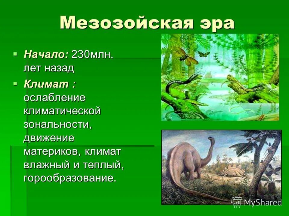 Условия климата мезозойской эры. Мезозойская Эра условия жизни. Мезозойская Эра периоды таблица. Мезозойская Эра этапы развития жизни.