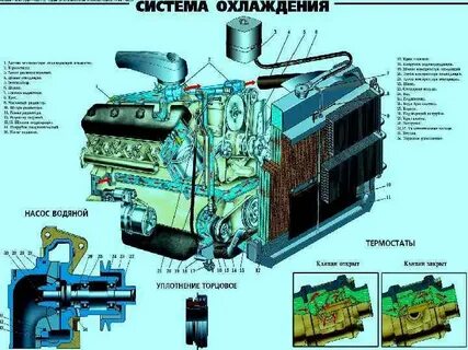 Схема охлаждения ямз 238