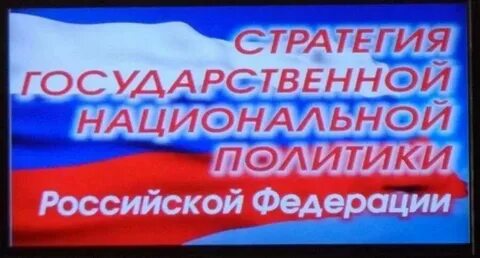 Стратегия государственной национальной политики анализ