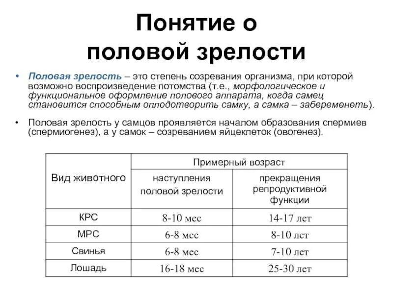 Продолжительность полового. Продолжительность полового. Продолжительность полового. Продолжительность полового. Продолжительность полового.