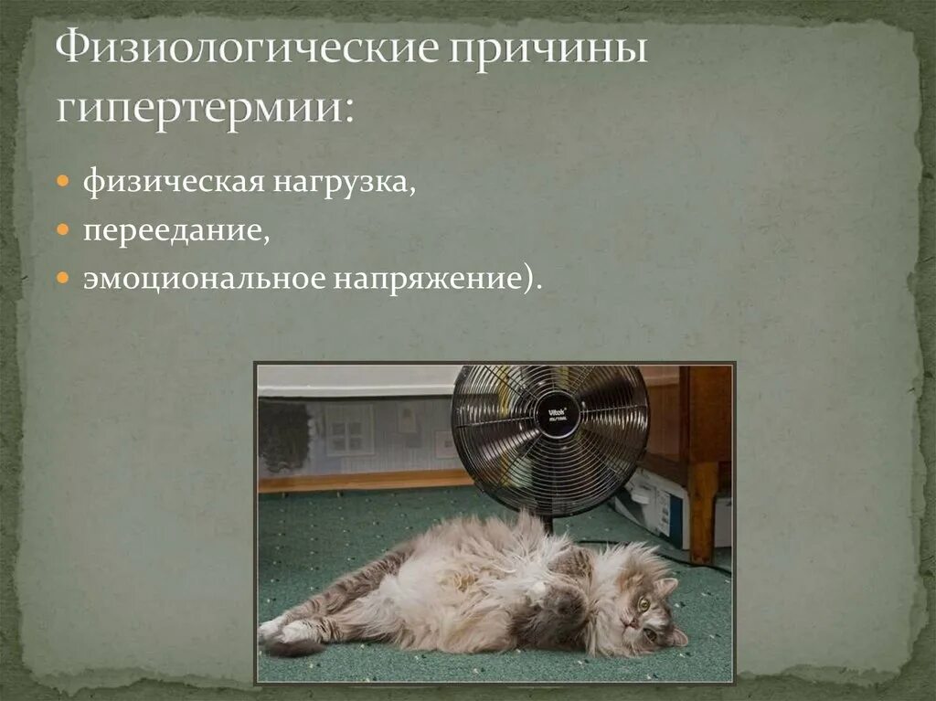 Физиологическое напряжение