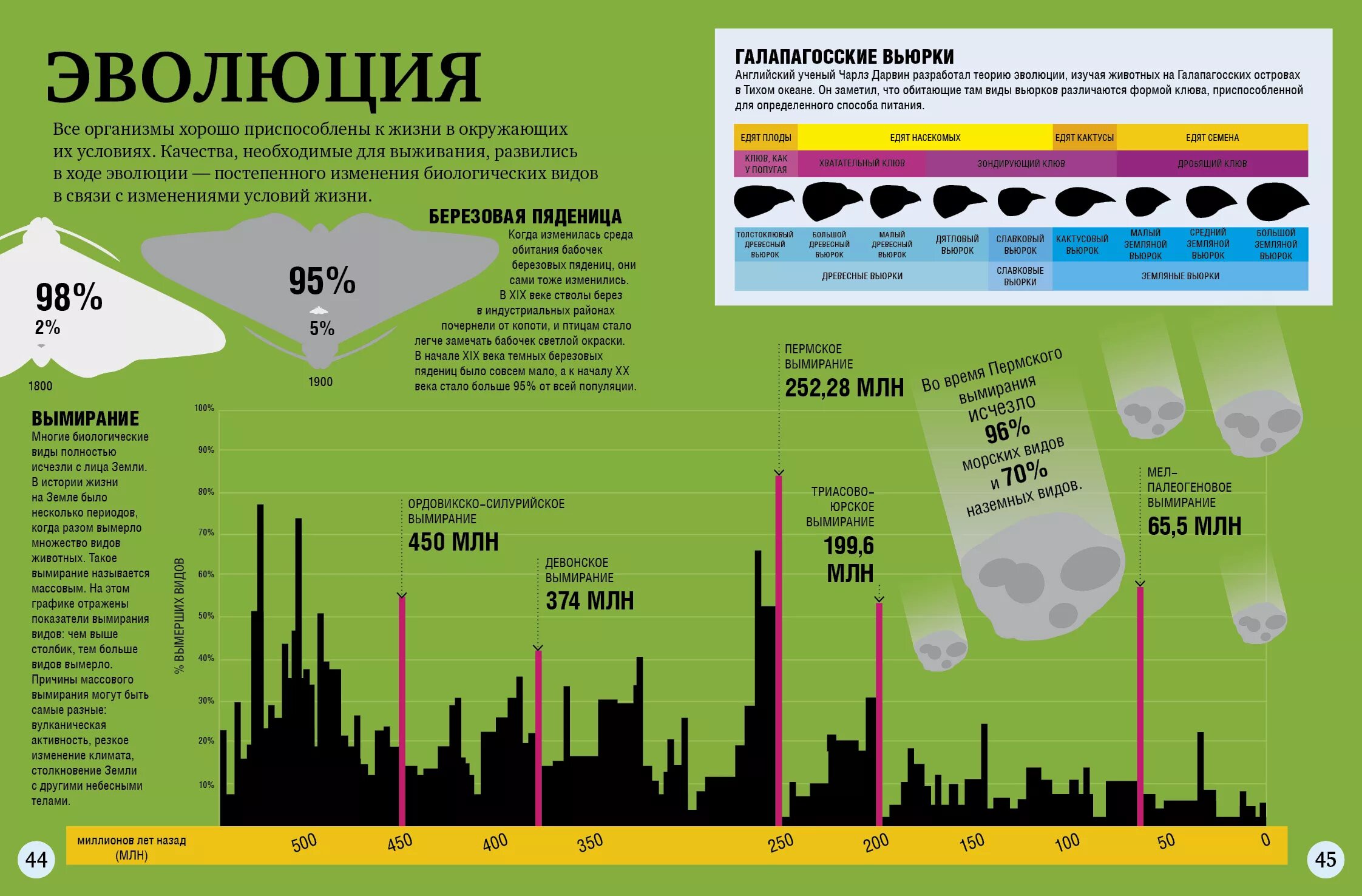 Пермь-триасовое массовое вымирание. Пермский период вымирание. Вымирание динозавров извержение вулкана. Вымирание жизни на земле. Мел-палеогеновое вымирание.