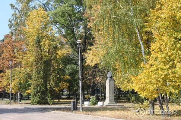 1 мая курск. Первомайский парк Курск. Парк первого мая Курск. Парк пионеров Курск. Парк на Радищева Курск.