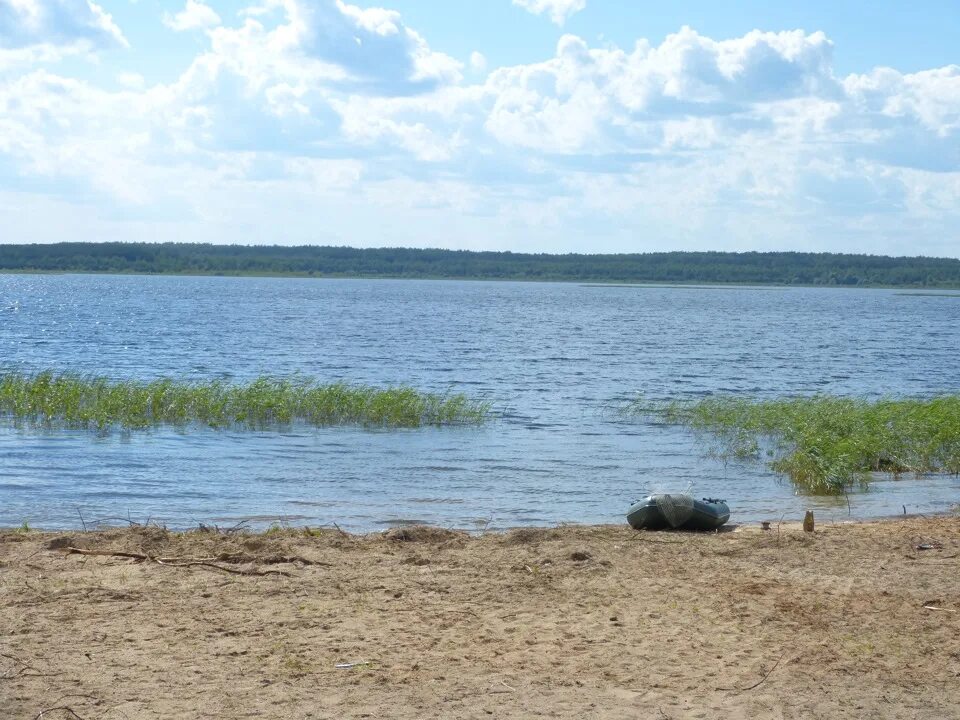 Скачальское озеро беларусь. Скачальское озеро беларусь. Любанское водохранилище рыбалка. Скачальское озеро на карте. Озеро левка.