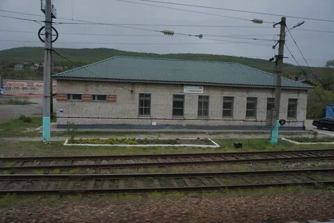 Раздольное приморский край погода почасовая