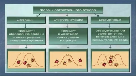 Примеры движущего и стабилизирующего