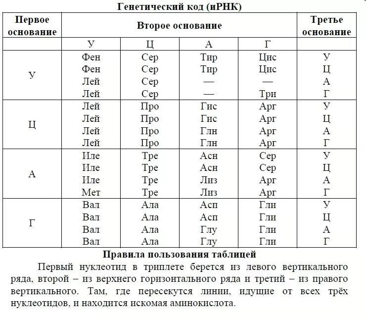 Таблица генетического кода с расшифровкой. Свойства ген кода таблица. Генетический код правила. Генетический код (кодоны), биосинтез белка. Генетический код.