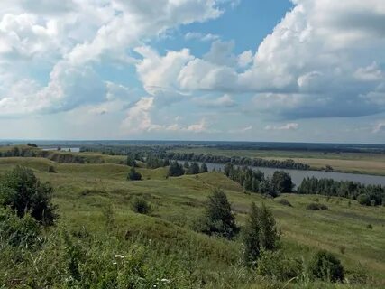 На приволь зеленых лех