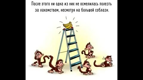 Моя жизнь до психотерапии видео с обезьяной