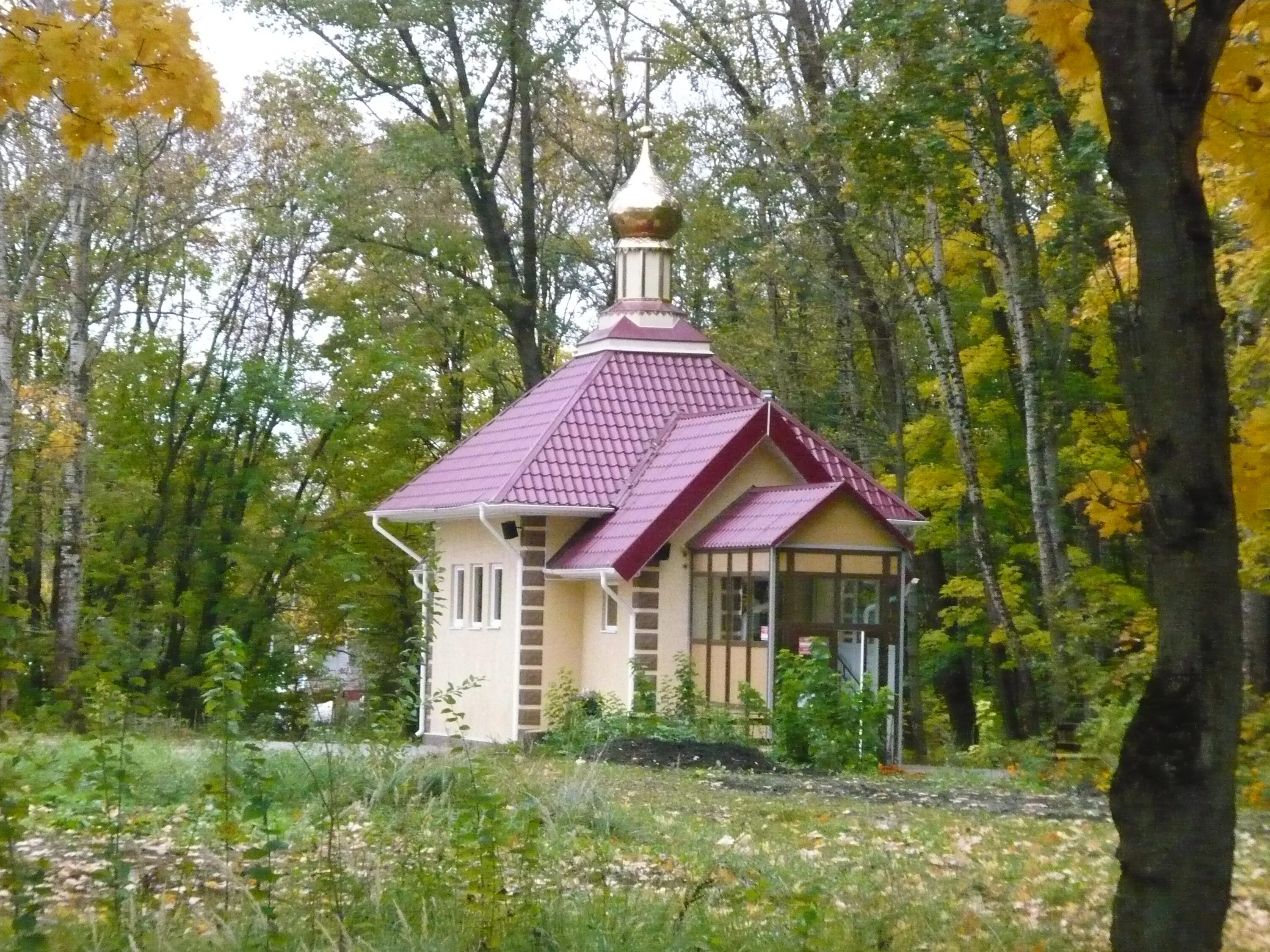Церковь Татианы Великомученицы, православный храм, Моховая ул., 9, стр. 2, Москв