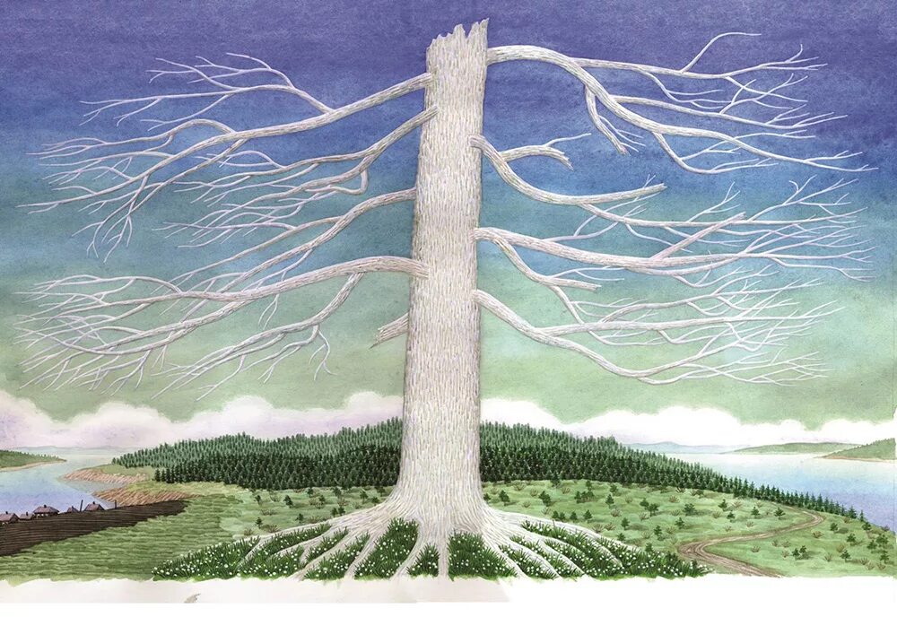 переплетенные деревья. маслина европейская дерево крым. дуб дарахти. дерево матеры. финикия оливковые деревья.