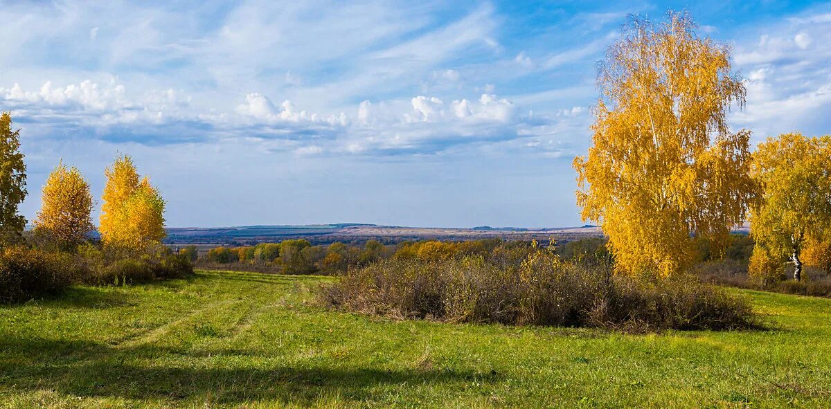 Погожая осень