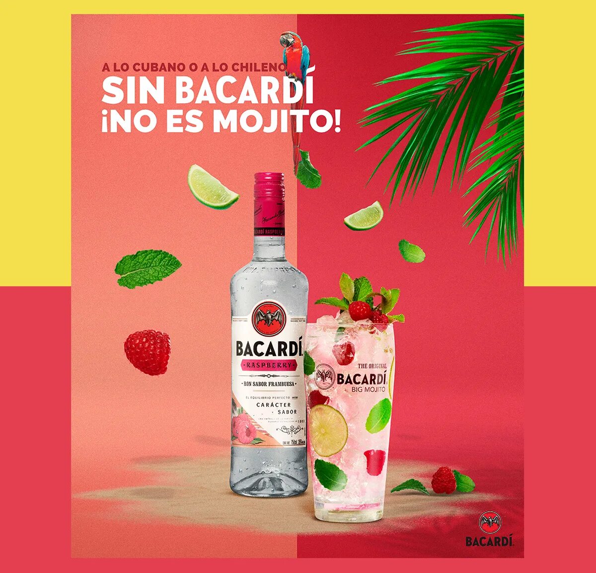 Сайт магазина мохито. Бакарди Мохито. Мохито дешевое. Мохито напиток. Bacardi Raspberry.