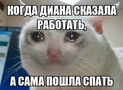 Света пошла