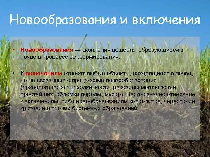 Какого значение почв. Хозяйственное значение почв. поровое пространство почв. хозяйственное значение почв кратко. выпишите хозяйственное значение почв.
