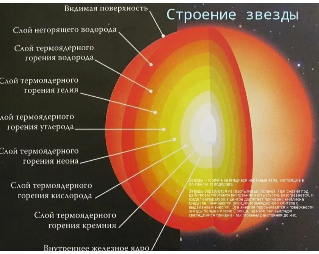 Стандартные слои. Внутреннее строение солнца и звезд. Внутренняя структура звезд. Внутреннее строение звезд кратко. Внутреннее строение звезд схема.