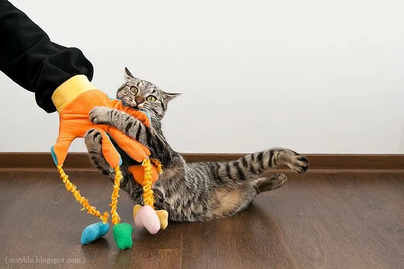 Резиновая рука для кота. Игрушки для котов. Игрушка кот. Игрушка «котенок». Игрушка для кота своими руками.