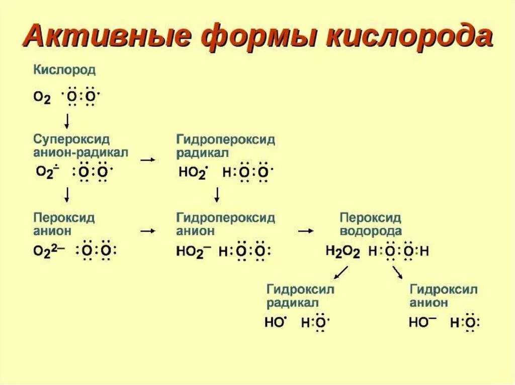 Окисление водорода кислородом реакция. Активные формы кислорода о2. Активные формы кислорода биохимия. Активные формы кислорода пероксиды. Активные формы кислорода АФК.