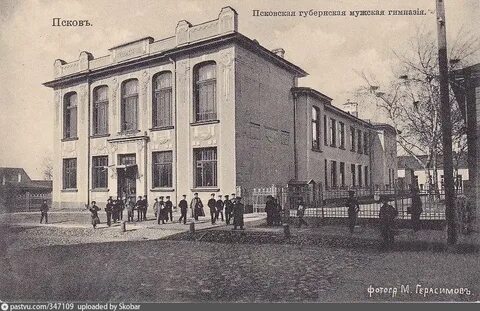 Губернские гимназии