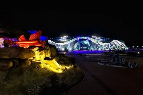Приморский океанариум поселок русский