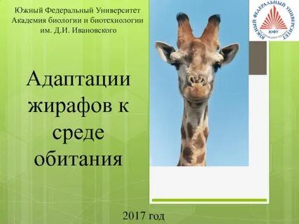 Морфологическая среда обитания