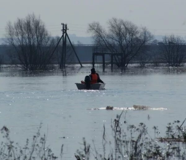 Уровень воды в реках калуги. Угра половодье. Пик паводка в Калужской области. Уровень воды в реках Калужской области. Разлив Староскаковское.