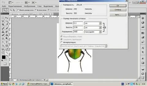 Разрешение paint