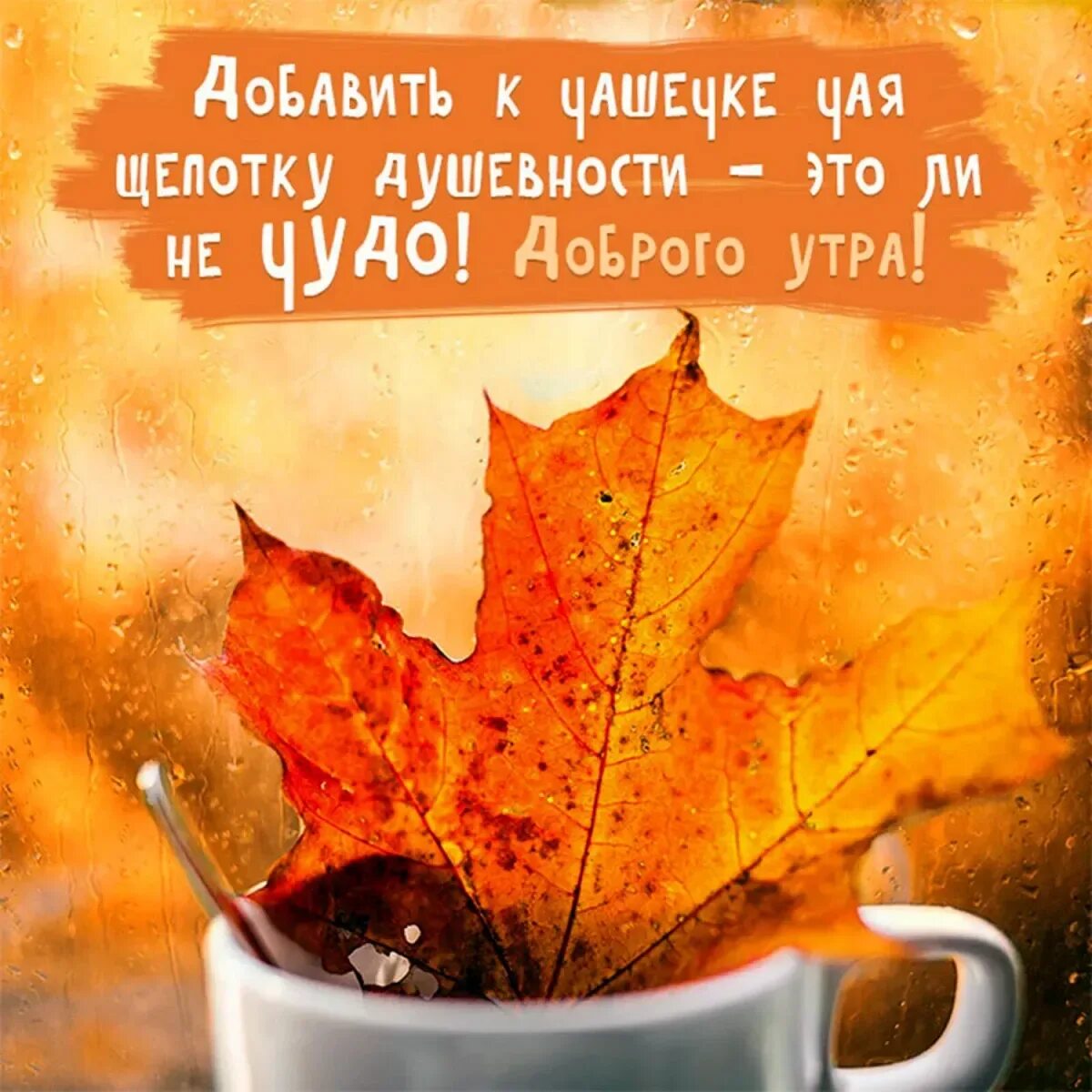 Осенние пожелания доброго утра картинки. С добрым осенним. Доброе утро осень. Доброе осеннее утро. Сдобрым осеннним утрос..